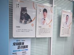 -全心全意连锁动物医院·微创中心·内科急重症·心脏专科(丰管路店)