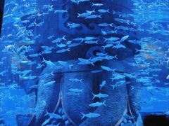 -波塞冬旅游度假区