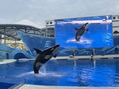 -上海海昌海洋公园