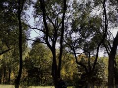 -长白岛森林公园