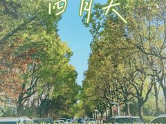 -高东镇樱花园