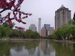 -团结湖公园