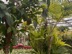 -南宫五洲植物乐园