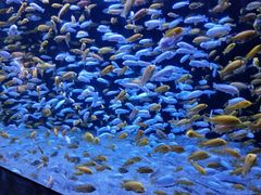 -成都浩海立方海洋公园