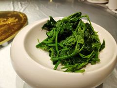 橄榄油拌脆尖-锦庐道地川菜(来福士店)