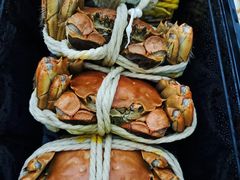 -阳澄湖大闸蟹·琼灵阁牌品牌连锁(吴中总店)