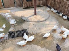 -保定市动物园