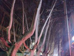 -健康路夜市