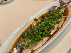 藤椒蒸白水鱼-道道鲜·崇明私房菜(五角场店)