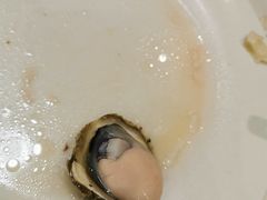 -宾朋海鲜特色美食餐厅·纯手工鲅鱼水饺(兴海路店)