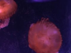 -邯郸海洋世界