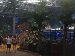 -青岛东方影都融创水世界