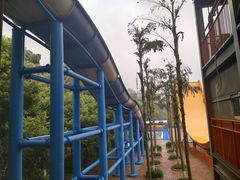 -重庆海昌加勒比海水世界