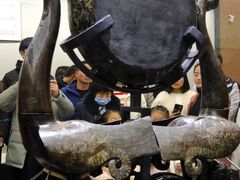 -荆州博物馆