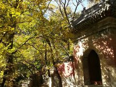 -北京上方山国家森林公园
