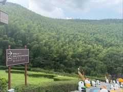-紫藤园·天目湖大鱼头(南山竹海店)