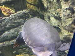 -欢乐海岸海洋奇梦馆