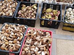 -野生菌火锅(菌王村店)