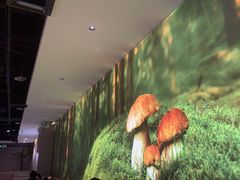 -椒王火锅(厚街万达店)