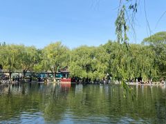 -百脉泉景区