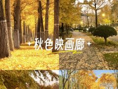 -浙江农林大学(东湖校区)