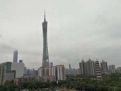 -小茶闲舍·观景商务茶馆(广州塔店)