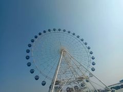 -秦皇岛乐岛海洋王国