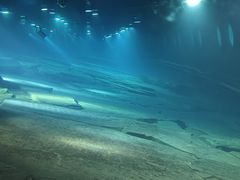 -白鹤梁水下博物馆