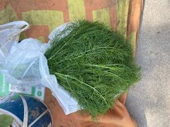 -雪绒花路停车场