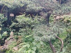 -善园(月湖盛园店)