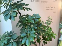 -沏点Trattoria意大利餐厅(新街口店)