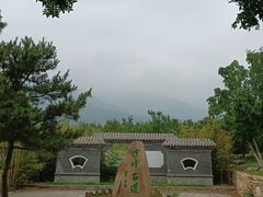 -阳台山自然风景区