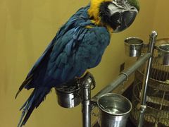 门面-那家小馆•北京菜•烤鸭(中关村店)