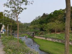 -红山村