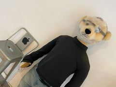 -济州岛泰迪熊博物馆