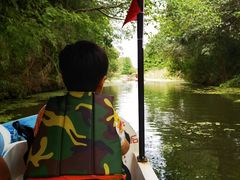 -溱湖国家湿地公园