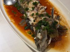 -开海·红岛海鲜虾水饺(石老人店)