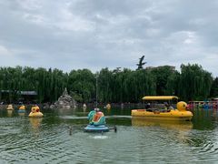 -团结湖公园