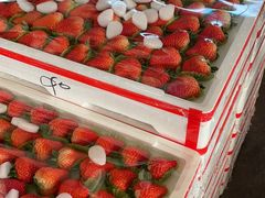 -西郊国际农产品交易中心