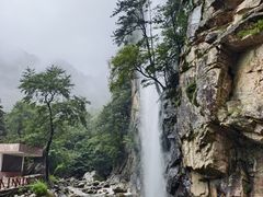 -青峰峡国家森林公园