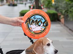 -Grande A'moo(上海万象城店)