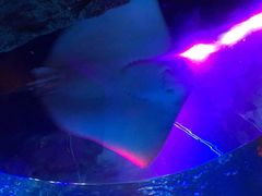 -沈阳海洋探索中心