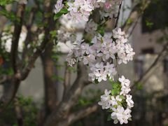 -木塔寺遗址生态公园