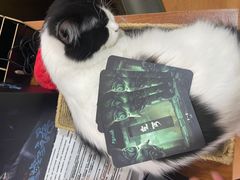 -6号玩家桌游吧(汉街店)