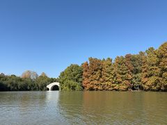 -上海海湾国家森林公园