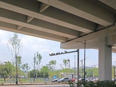 -上海第二工业大学(金海路校区)