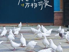-王府井奥莱棋盘山小镇