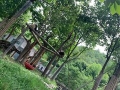 -都江堰中华大熊猫苑
