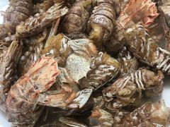 -宾朋海鲜特色美食餐厅·纯手工鲅鱼水饺(兴海路店)