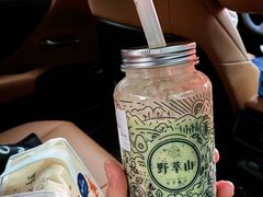 -野萃山·潮汕厚果汁(十亩地店)